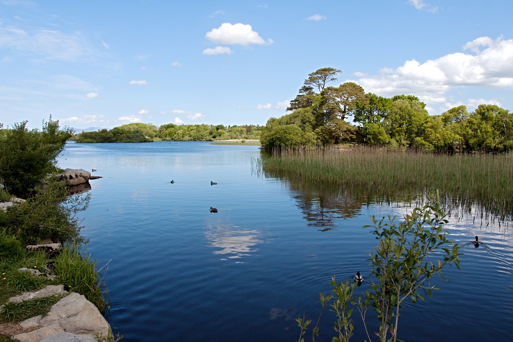 Killarney National Park ierland eire natuur natuurgebied hdr Ladies View Ring of Kerry County irish Lough Leane lake